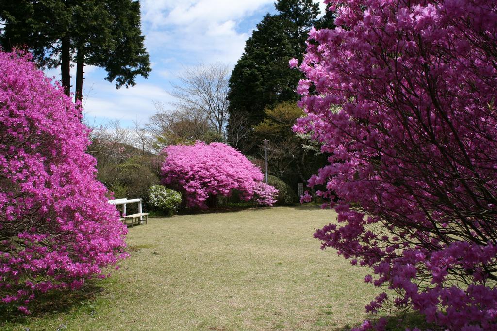 Senkyoro Hotel Hakone Eksteriør billede