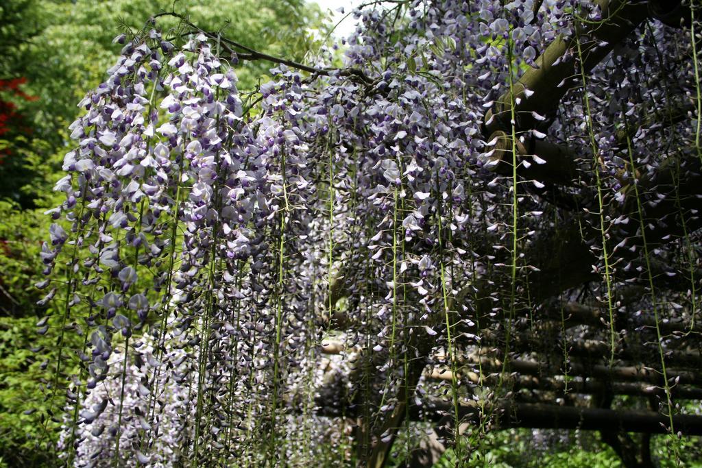 Senkyoro Hotel Hakone Eksteriør billede