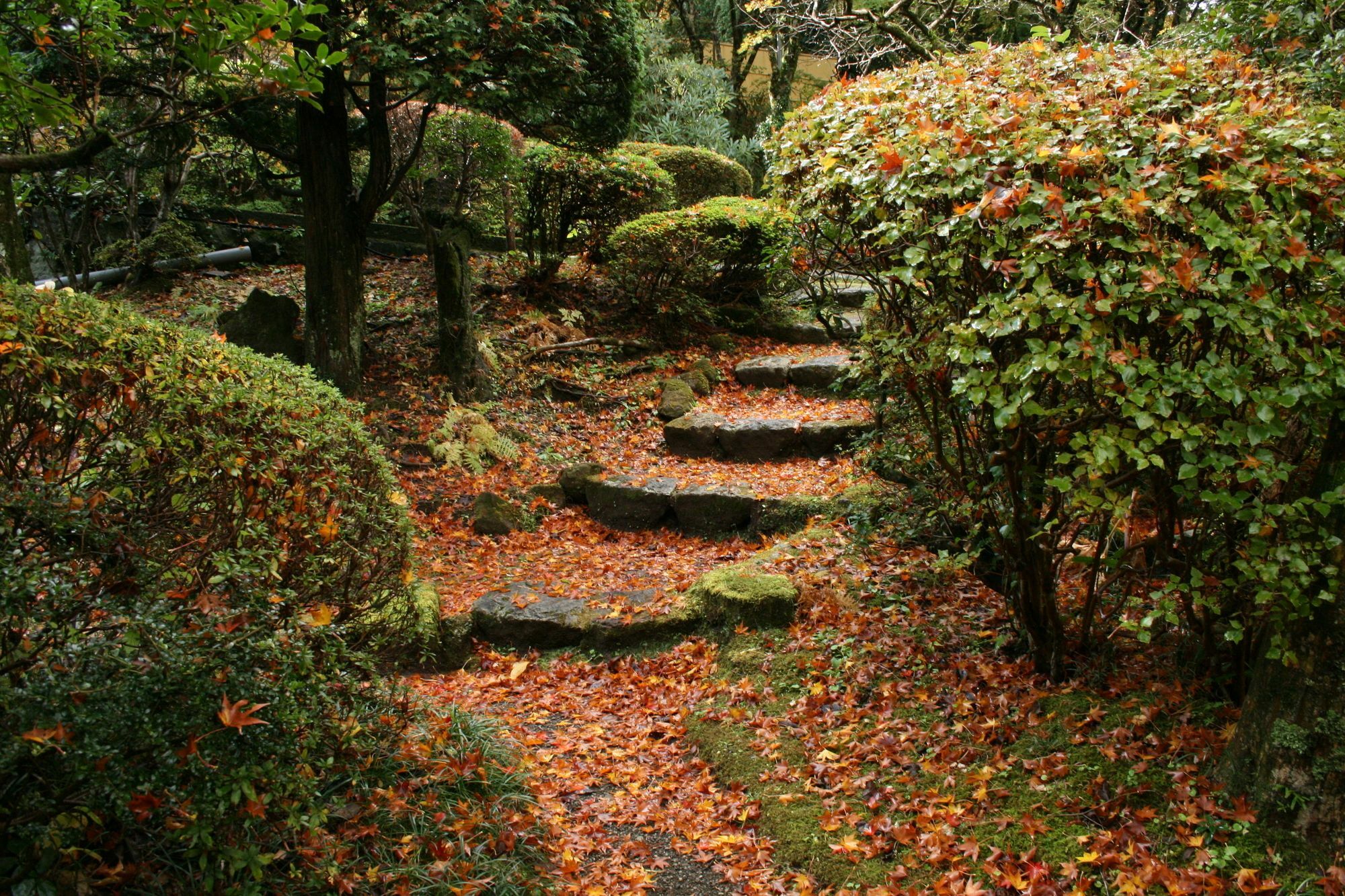 Senkyoro Hotel Hakone Eksteriør billede