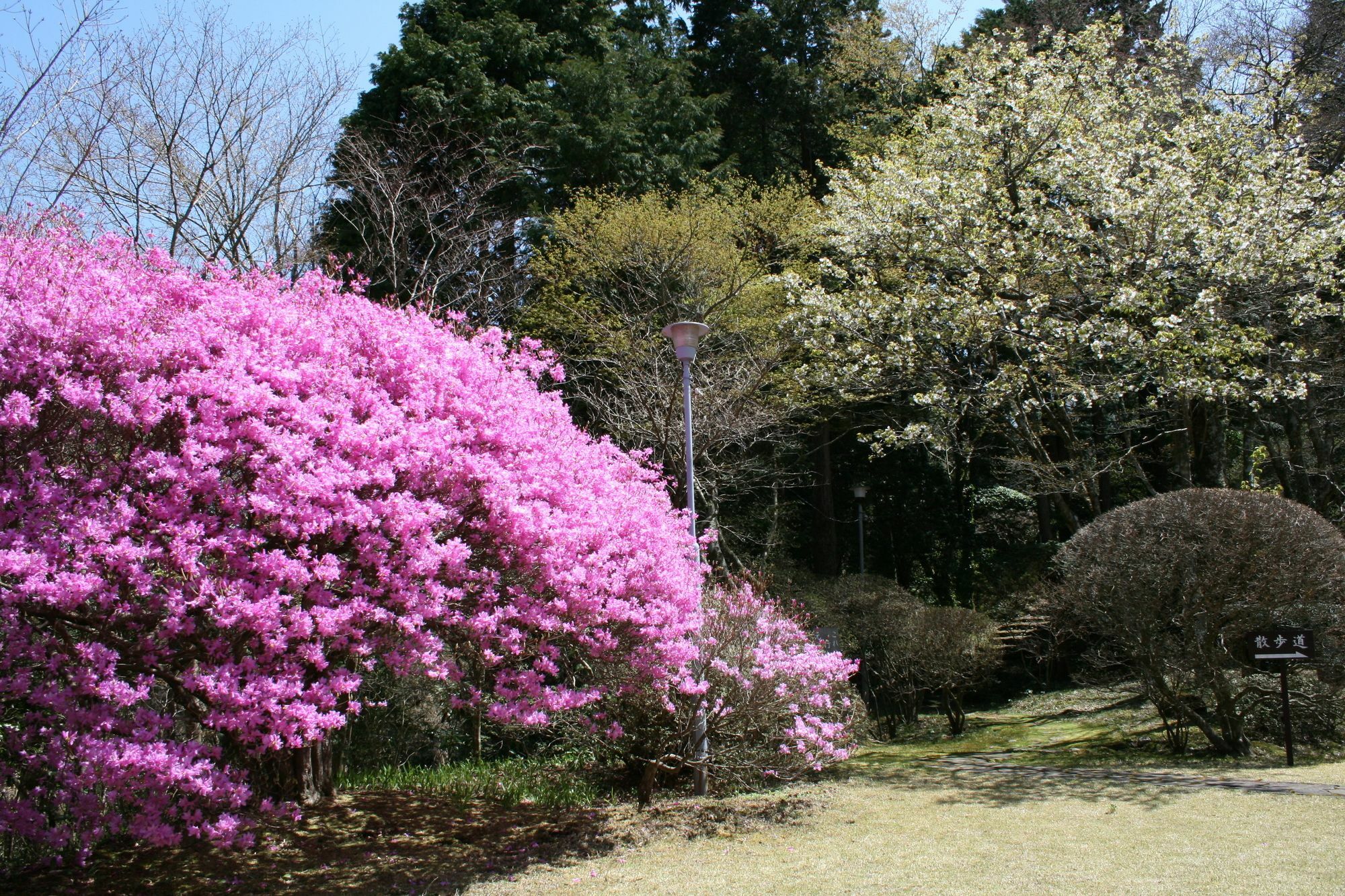 Senkyoro Hotel Hakone Eksteriør billede